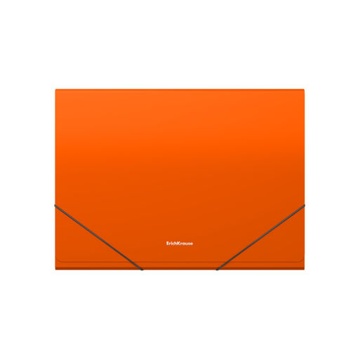 Picture of EXPANDING FILE A4 12 TABS NEON ORANGE